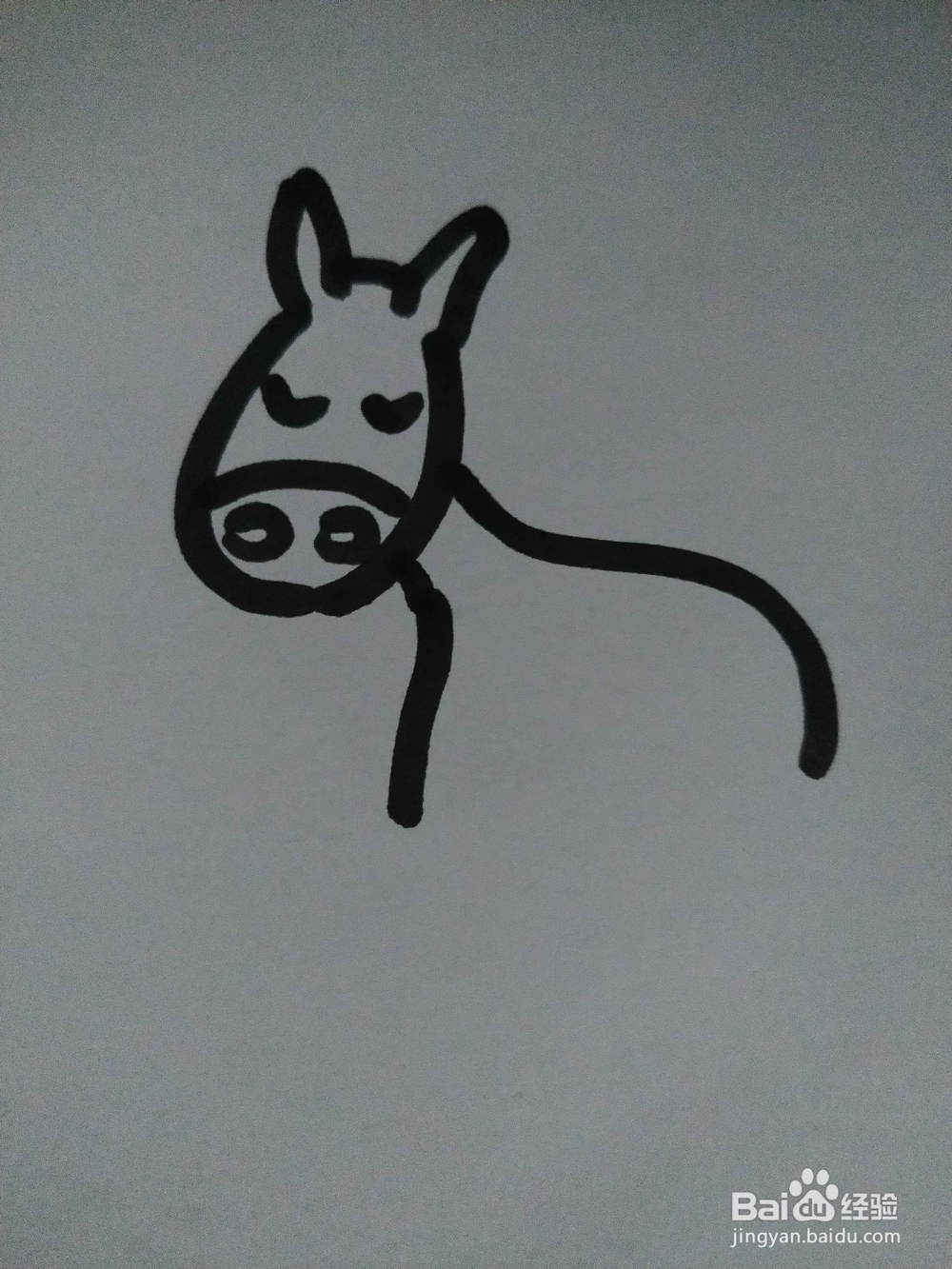 毛驴的简笔画技法15