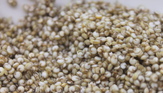 鲜虾料理制作步骤