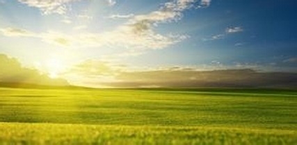 喝蜂蜜的最佳时间和最差时间