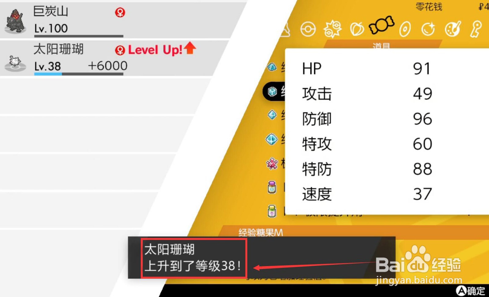 太阳珊瑚怎么进化