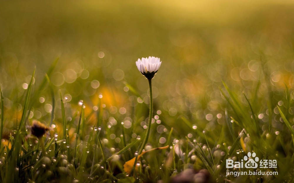 如何辨别你喜欢的他是否也正好喜欢你