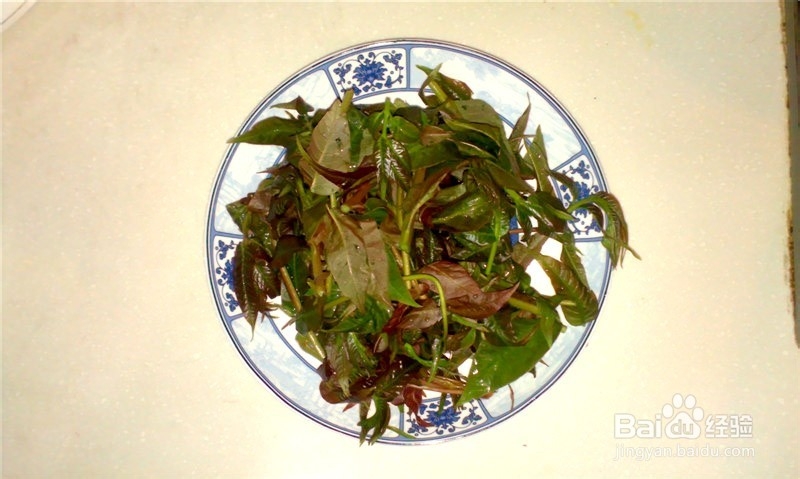 如何制作美味香椿炒鸡蛋