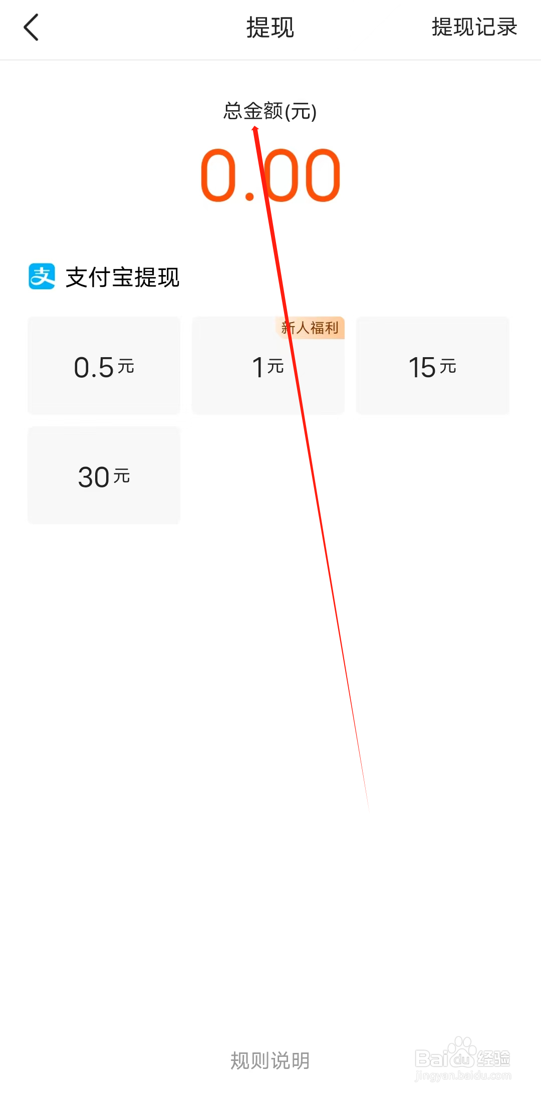 有柿怎样查看总金额
