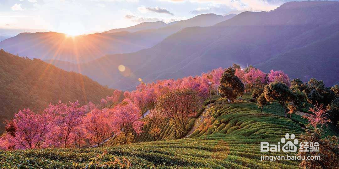 到云南旅游，有哪些值得去的景点呢？