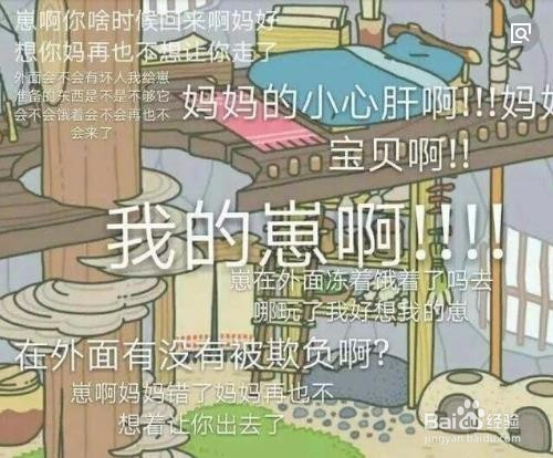 青蛙旅行为什么这么火？