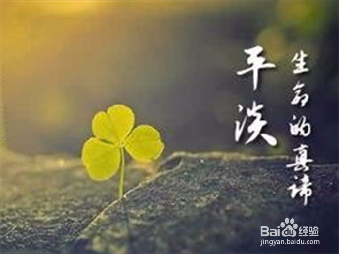 怎么做活得精彩尽快脱单？