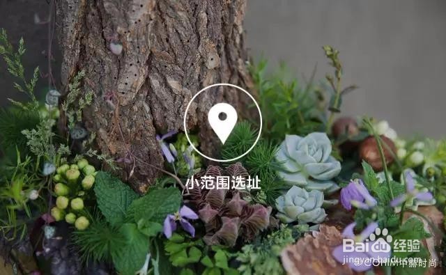 开一家花店前期需要准备什么