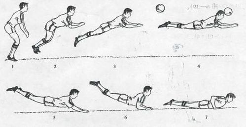 教你如何在足球运动中头顶球