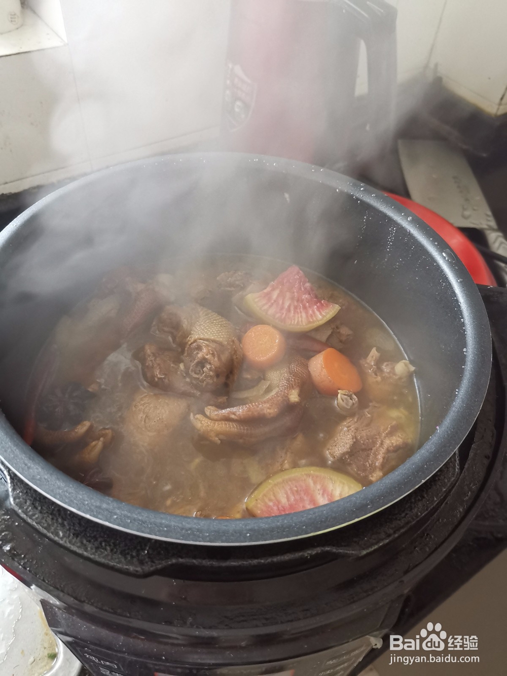 高压锅炖鹅肉