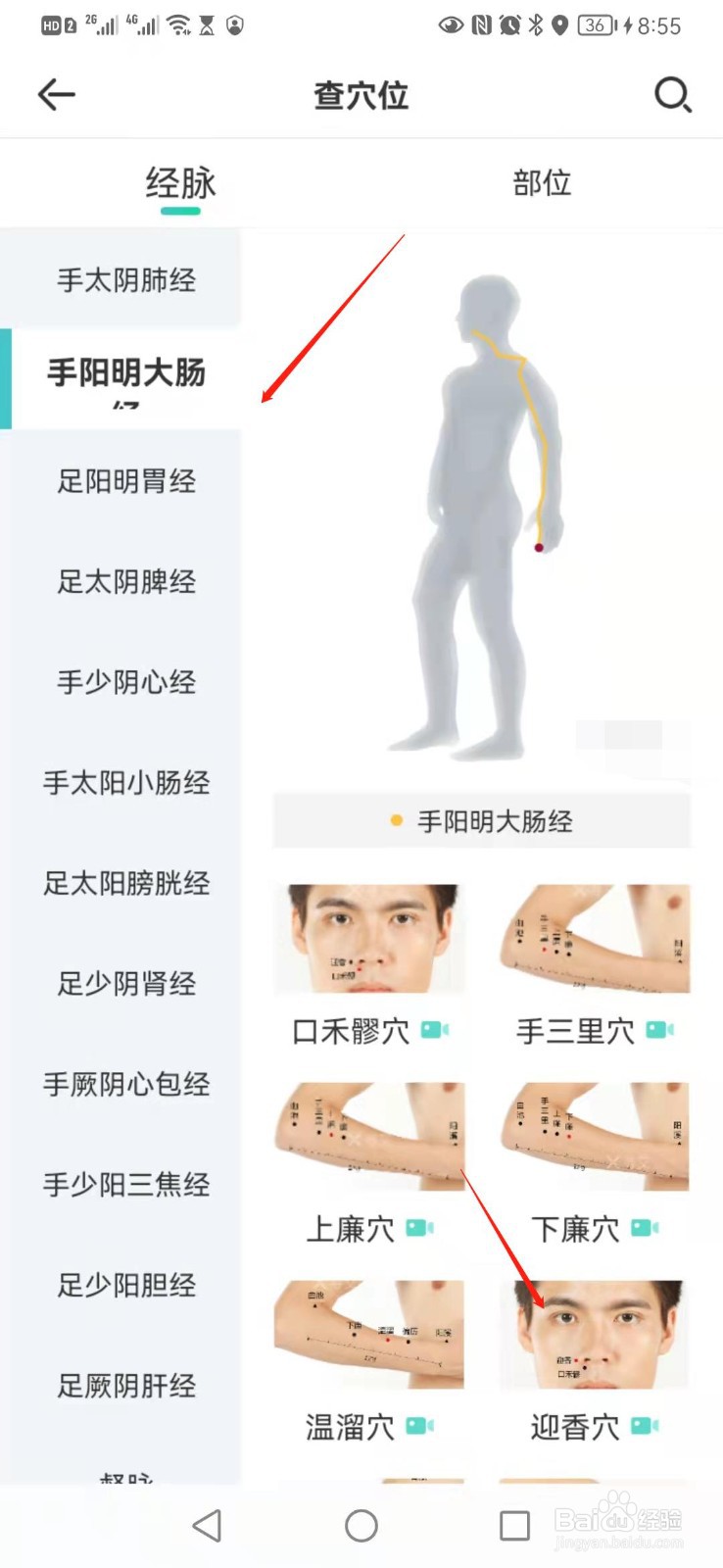 寻艾app怎么查询大肠经上迎香穴位置