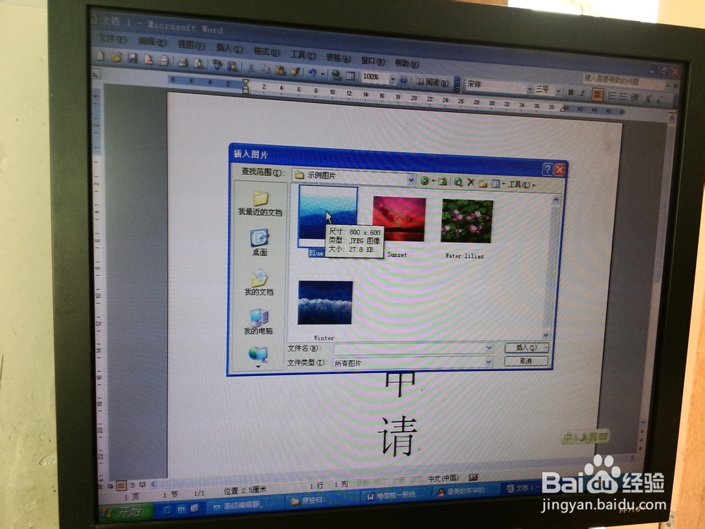 怎样在word文档中插入图片
