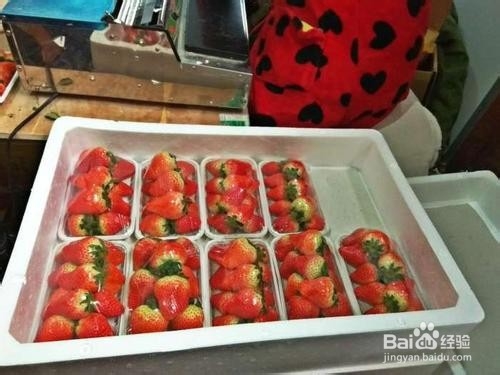怎么包装草莓