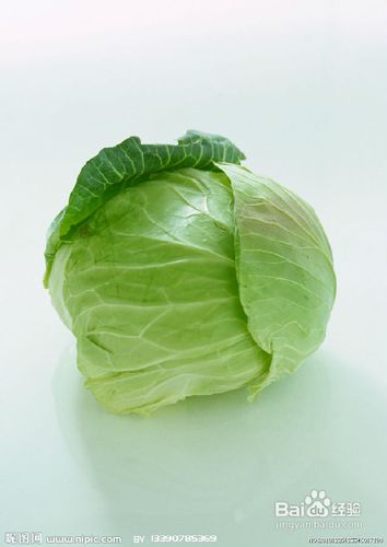 芹菜+圆白菜巧妙搭配两周惊现迷人小鸟腿