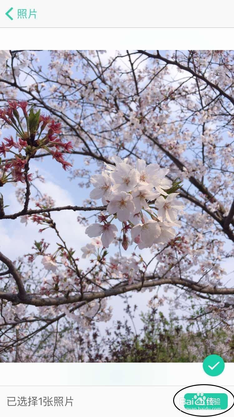 美人相机的云相册怎么用？