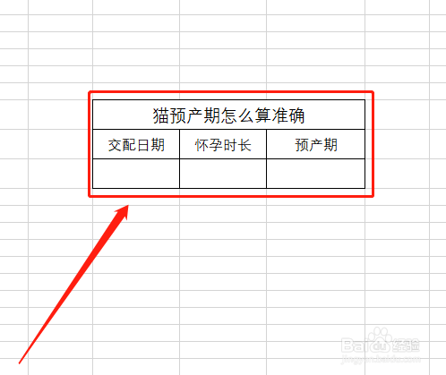 猫预产期怎么算准确