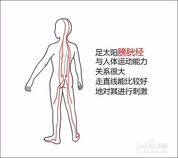 大漫健康-每天走一万步不如健康步走几百米。