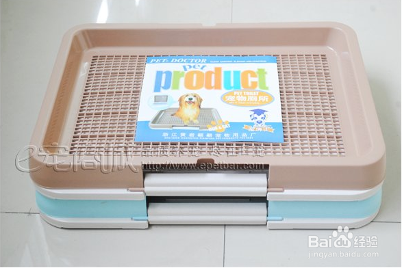 狗狗定点上厕所如何训练