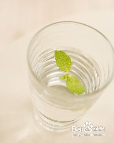 女人如何通过喝水变得更美丽