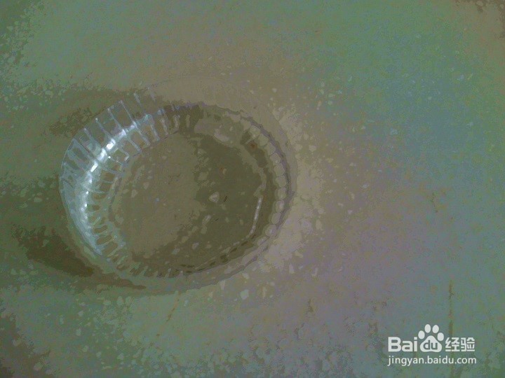 怎样将废弃的菠萝叶做成绿叶花