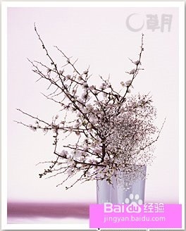 花道-融入生活的优雅