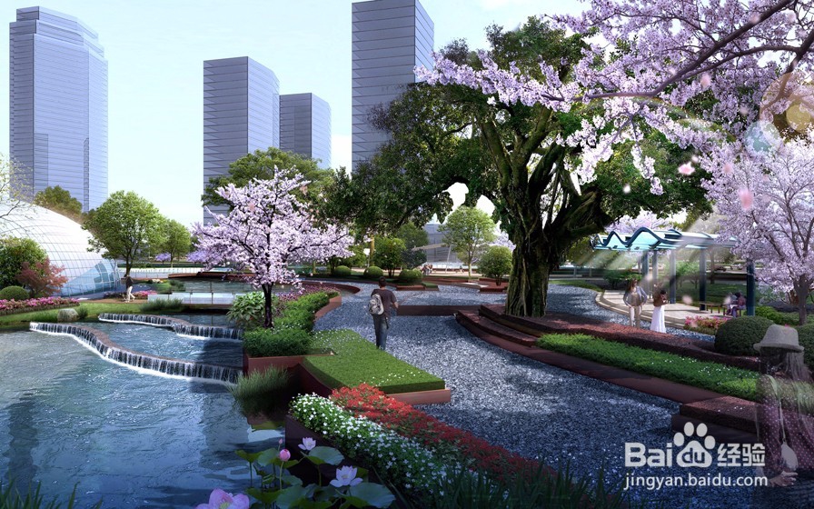 道路绿化效果图设计中的树种都有哪些分类?