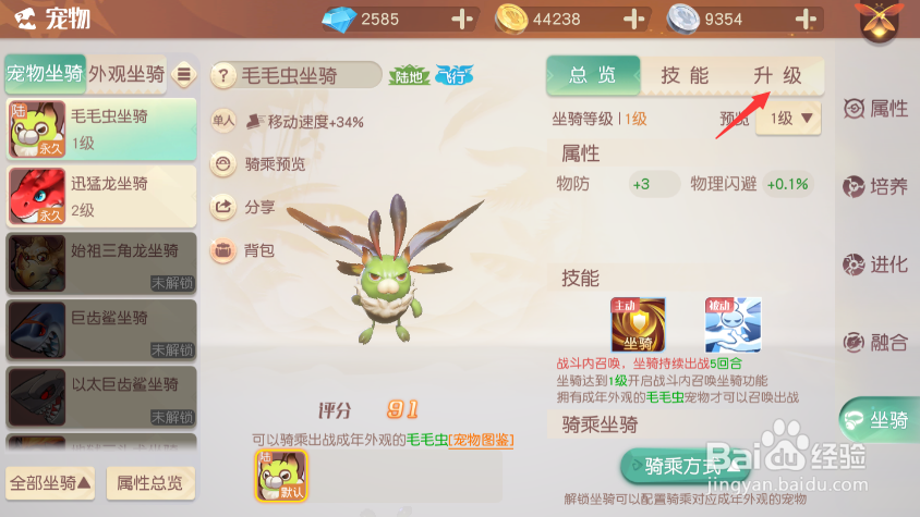 梦想新大陆坐骑如何升级