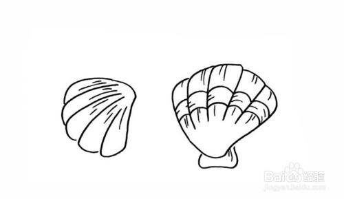 如何画贝壳的儿童简笔画教程