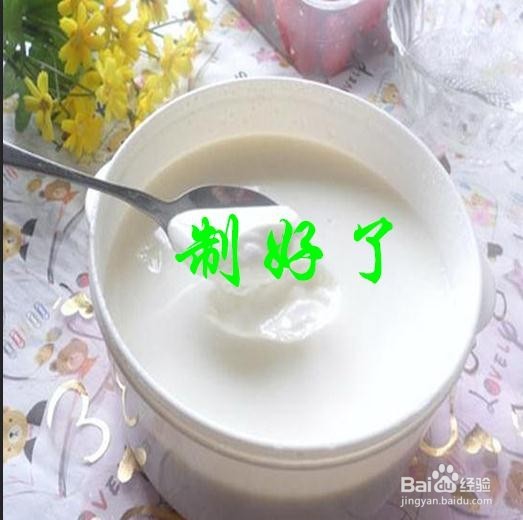 教大家酸奶如何制作。