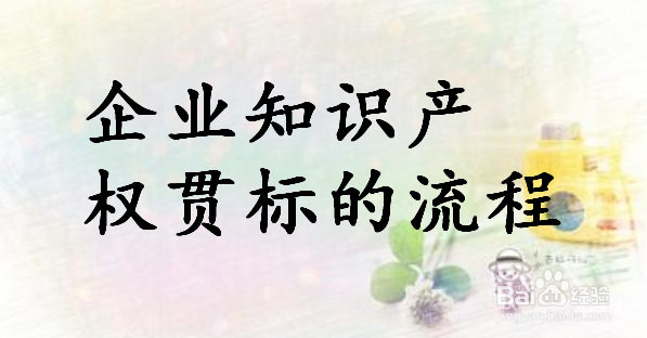 企业贯标工作如何进行?　何为贯标