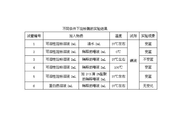 酶的特性实验报告结果分析是什么