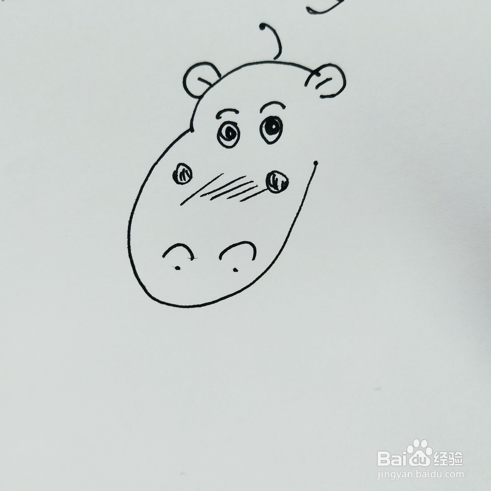 怎么来画一只卡通河马简笔画？