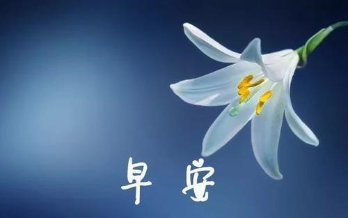 每天一句简单的问候语