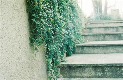 鼓励自己的励志短句