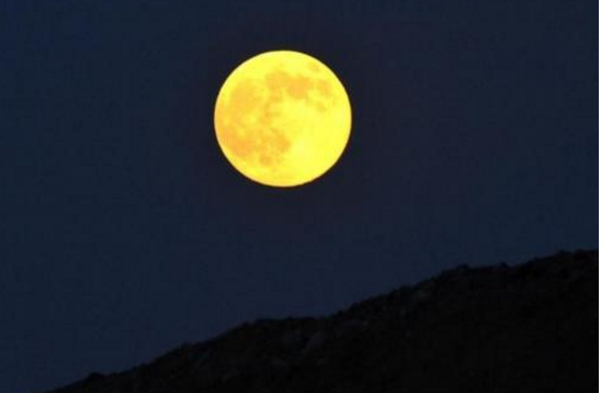 加点字仿写句子（润湿的东风走过荒野，在竹林中吹着口哨