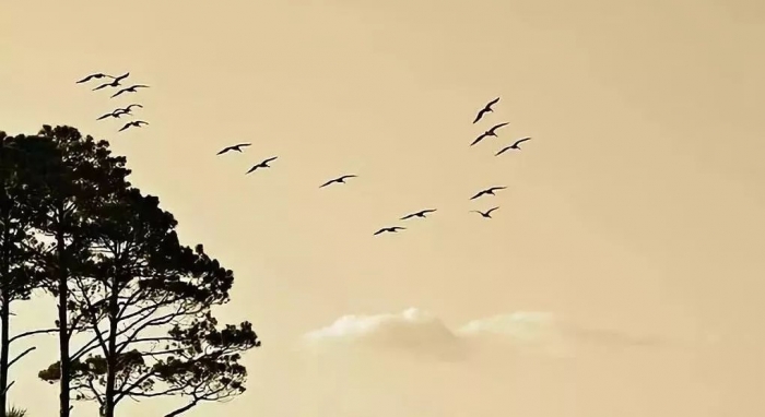 描写天空的诗句