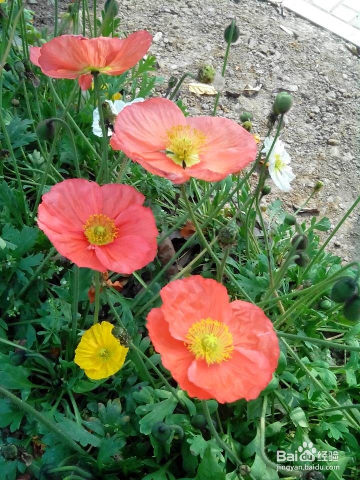 精彩女人,学会时尚