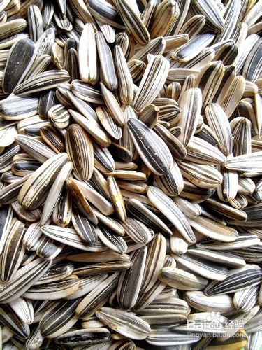 最减肥的食物—五大食物让你瘦不停