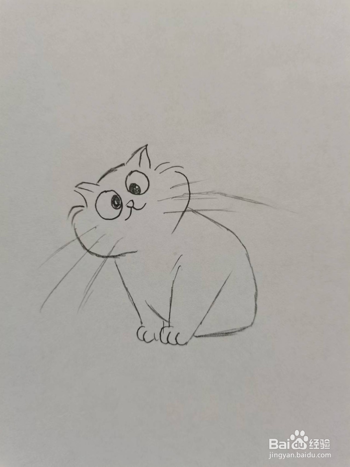 手绘简单的肥猫