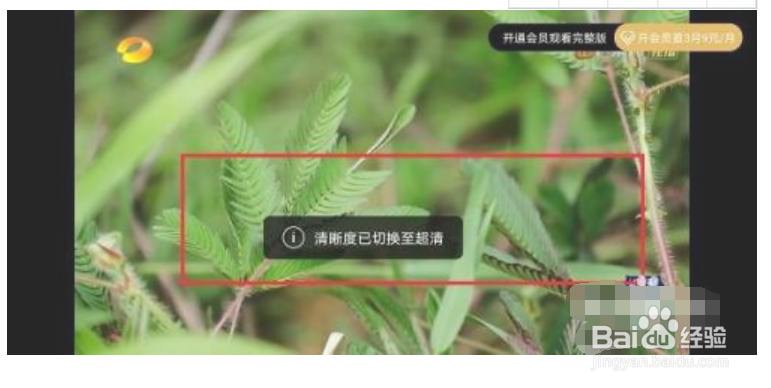 芒果TV怎么设置视频清晰度