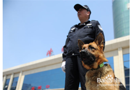 防·暴队的日常工作是什么，待遇如何？