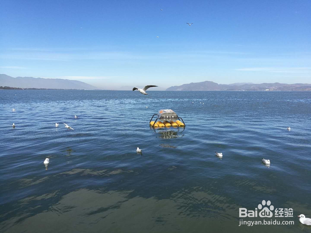 心情不好的时候怎么做