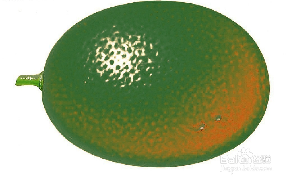 ps中替换颜色命令怎么用