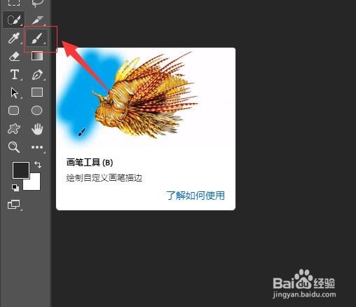 Photoshop CC2019 如何导入画笔笔刷?