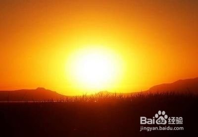 你知道有哪些方法可以补阳气吗?