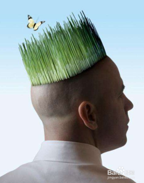 立秋容易掉发怎么办？