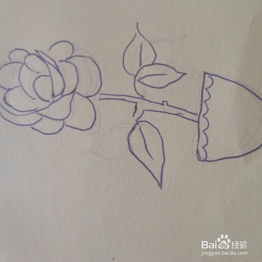 牡丹花简笔画