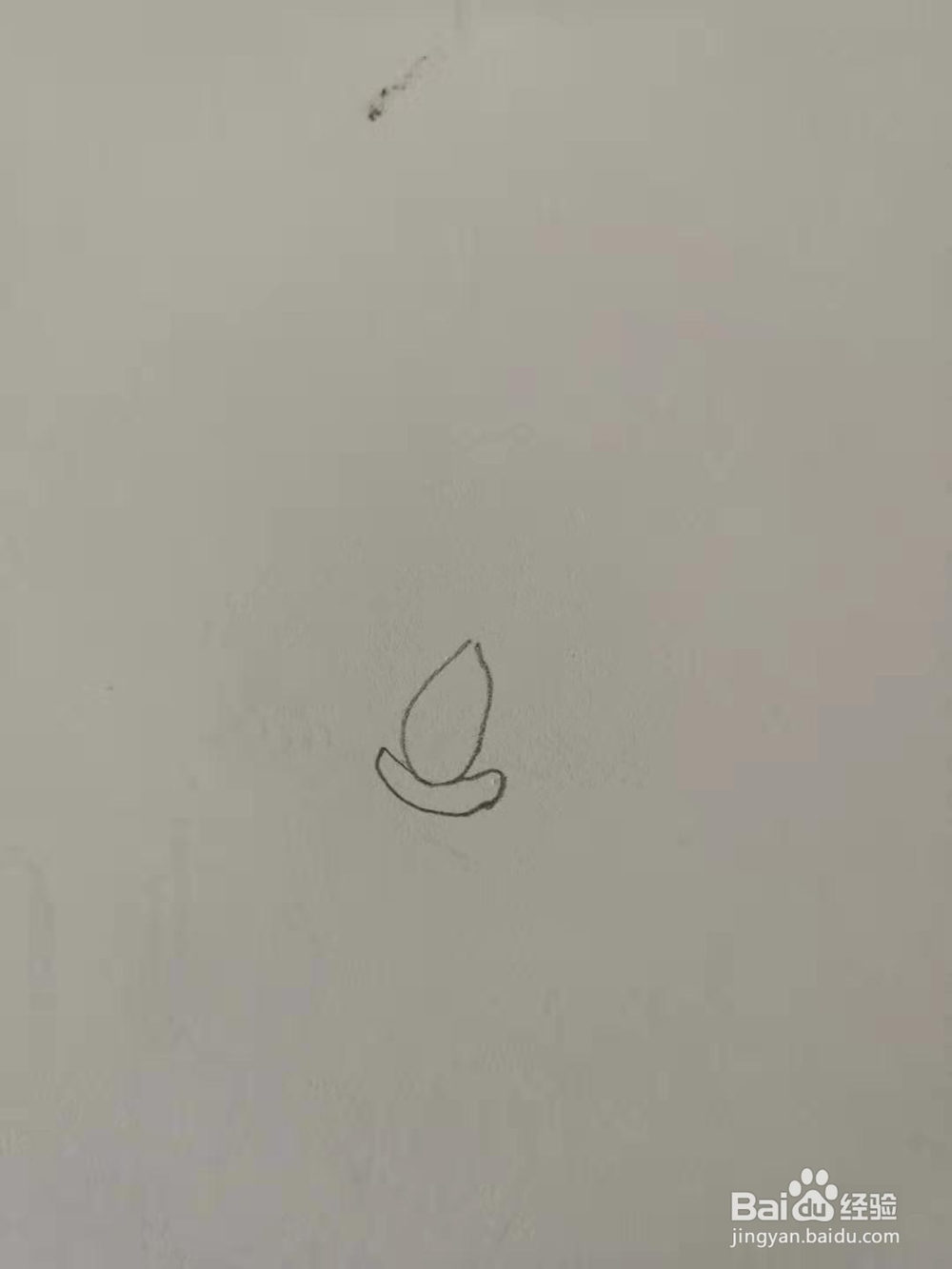 如何画玫瑰花简笔画