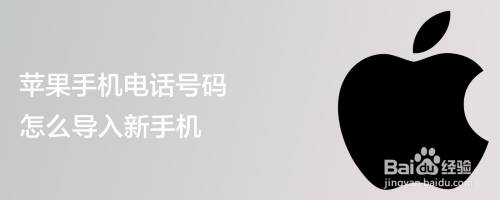 苹果手机电话号码怎么导入新手机