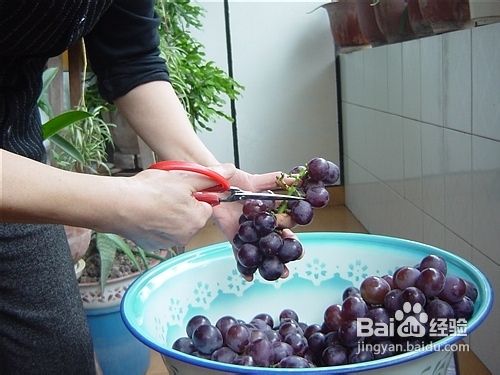 做葡萄酒的方法