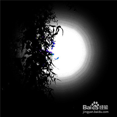 为什么买车一定要白色？